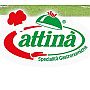 Attiná